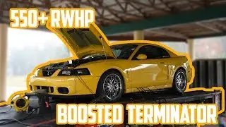 VMP Tuned 2004 Ford Mustang Terminator Cobra Blasts Out 550+ rwhp!