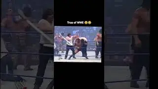 Fake moment of WWE
