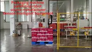 Column robot suction cup cardboard box stacking#robot #palletizer #robotarm