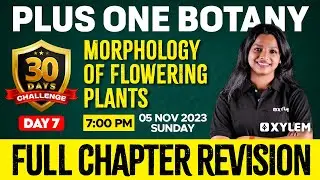 Plus One - Botany - Morphology of Flowering Plants | Xylem Plus One