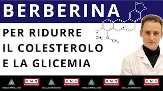 Berberina: Effetti Scientifici su Colesterolo e Glicemia | Studi e Risultati
