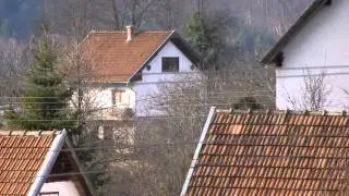 Donja Vijaka BiH