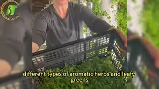 Top sale smart hydroponic system for home #farm #farmer #hydroponicgarden #hydroponics