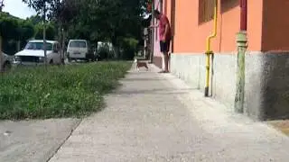 DSCN9623