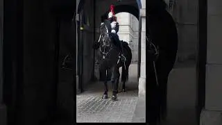 💂💂 ROYAL GUARD | LONDON KING'S GUARD 2025 #kingsguards #royalguards  #horseguards #britishroyalguard