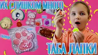 Все Мои ТАБА Лапки и СКВИШИ 🐾✨ Большой Обзор ЧЕЕК 😍🎉