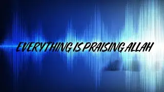 The Quran and Sound Waves — “Everything Glorifies Allah”