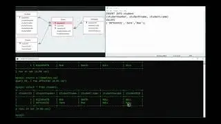 03   Learn SQL   INSERT INTO
