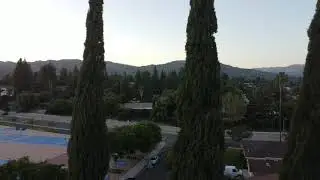 Italian Cypress top to landing  mini