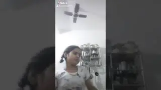 Dolly(17)