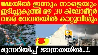 UAE കനത്ത മഞ്ഞിന് സാധ്യത