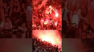 Egyptian Ultras: When Football Becomes a Voice. #footballshorts #football #shorts #adidasfootwear