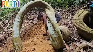 Building a Hidden Shelter Under a Giant Tree | Solo Survival🌿🌴🪵