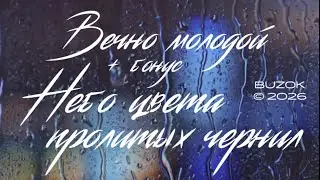 BUZOK - Вечно молодой (Bro 2026 BooRemix)
