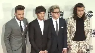 One Direction May Not Be Coming Back From Hiatus!