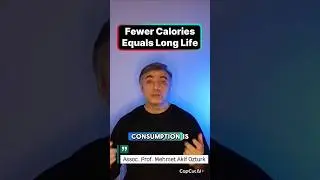 Low Calories, Longer Life? Science Says Yes