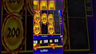 I WON DOUBLE BONUS ON AUTUMN MOON DRAGON LINK #shorts