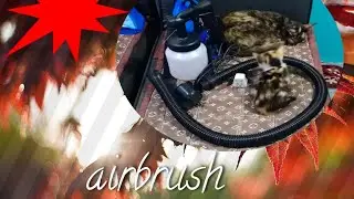 Unboxing and testing my new Airbrush Paint Zoom #airbrush #paint #zoom