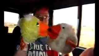 Duckmandu with Kissing Quacking Duck Puppets