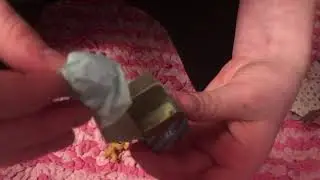 Boxy Girls Pets Unboxing