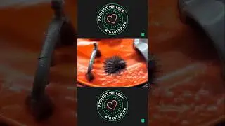 Ferro Pets теперь официально стал #проектоммылюбимы от @kickstarter! #kickstarter #ретро #тамагочи