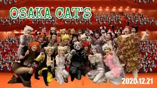 OSAKA CAT'S