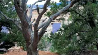 Colorado Plateau Summary