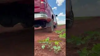 Ele t&aacute; certo uai, &eacute; dele 😂😂😂#primosagro #agronomia #agro #produtorrural #viral #seuduardo