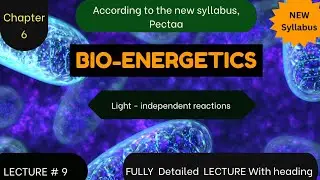 Lecture 09: Light Independent Reactions (Calvin Cycle) | Bioenergetics | 1st Year Biology | BioCore