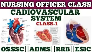 CADIOVASCULAR SYSTEM CLASS-1//OSSSC NURSING OFFICER EXAM PREPARATION//By Abhisek Sir 🤔🤔🤔