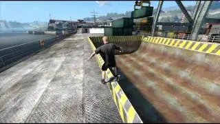 Skate 3 Skate Ambassador's line