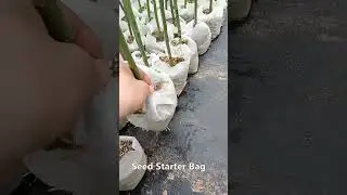 Seedling Nursery Grow Bags