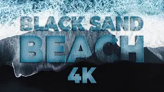 BLACK SAND BEACH 4K | Beach | @CartoonHub.