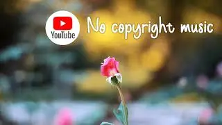 Path Switch - tubebacker | No Copyright Music