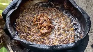 Fried worms Worms are the most disgusting animals, but worms are a delicious food