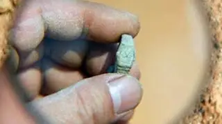 Странная находка швейцарских часов-кольца в запечатанной гробнице династии Мин