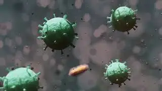 Unveiling the Microscopic World #animals #pets #relaxing #microorganism
