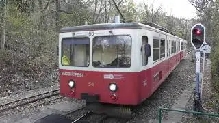 2021.04.07 Fogaskerekű Erdei iskola megálló visszafejlesztés után
