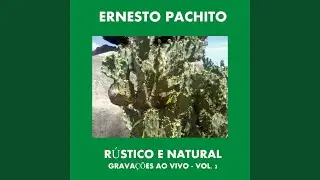 End of Spring Meditation No. 2 (Ao Vivo)