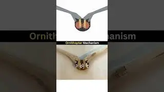 Ornithopter Mechanism || in theory of machine || #diploma