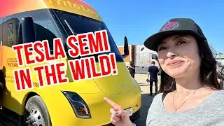 Встреча клуба владельцев полуразбитых Tesla!