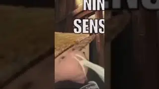 #help #funnymemes #helpout #humormemes