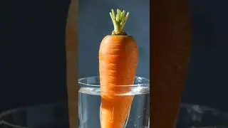 Carrot Regrows in Water 😱 #shorts#GrowVerseShorts#PlantTimelapse#VegetableRegrowth#