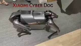 Xiaomi Cyber Dog First look | Mi Mix 4