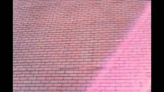 RadioShack Surveyor Drone