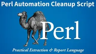 Perl Cleanup Script Explained: Automatically Remove Empty Files & Folders (Interactive Project)