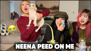 GIRL TALK | friendship breakups *I got peed on 😭*