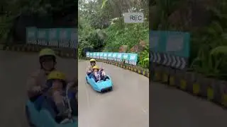 CNDL