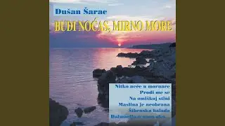 Žižula