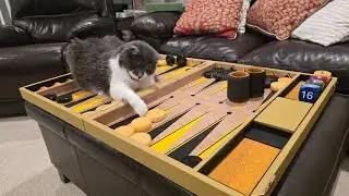 Schmidt Bros.  Backgammon board review 